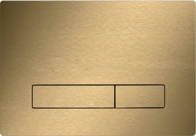 KK-POL 350/PSM/008-00-00 Vitrum Metal SLim Металлическая панель смыва для инсталляции, цвет шампань