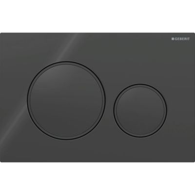 115.882.DW.1 Кнопка двойного смыва Geberit Sigma20 чёрный матовый